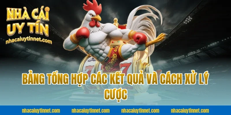 Bảng Tổng Hợp Các Kết Quả Và Cách Xử Lý Cược Tại Nhà Cái Uy Tín