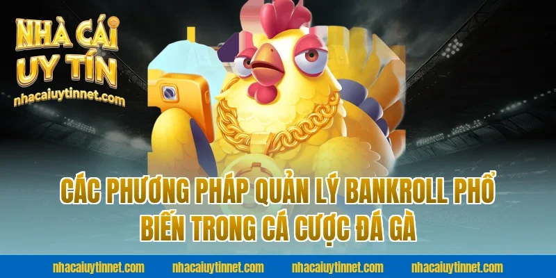 Các Phương Pháp Quản Lý Bankroll Phổ Biến Trong Cá Cược Đá Gà