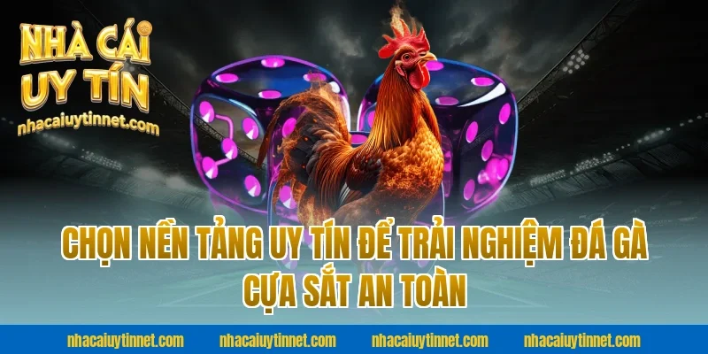 Chọn Nền Tảng Uy Tín Để Trải Nghiệm Đá Gà Cựa Sắt An Toàn