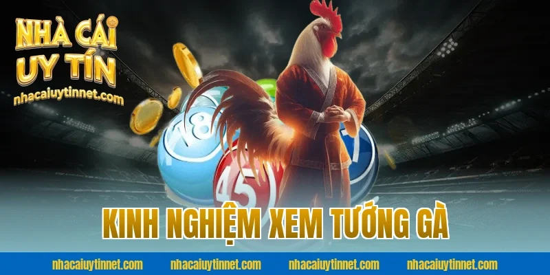 Kinh nghiệm xem tướng gà