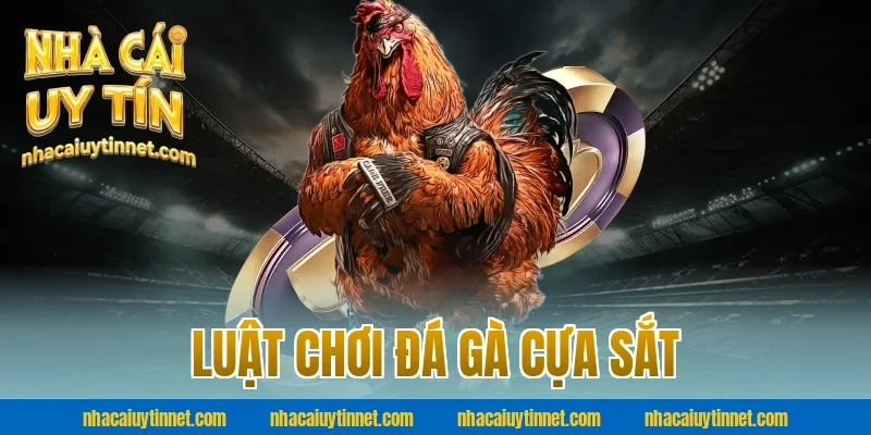 Luật chơi đá gà cựa sắt